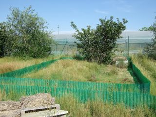 DSCF8351 [320x200].JPG