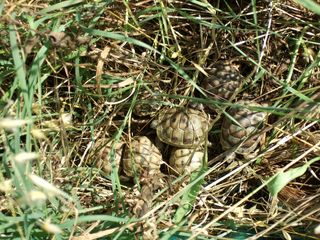 DSCF8362 [320x200].JPG