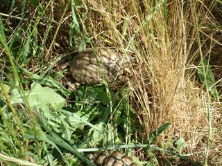 DSCF8364 [320x200].JPG