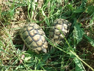 DSCF8374 [320x200].JPG