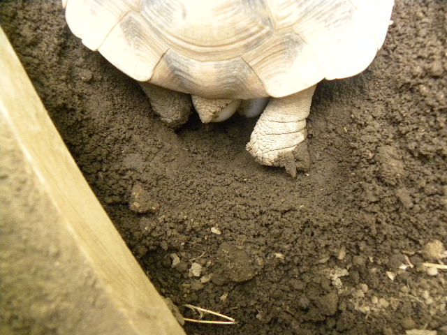 DSCN1165.JPG