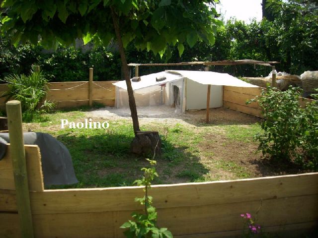 recinto.jpg