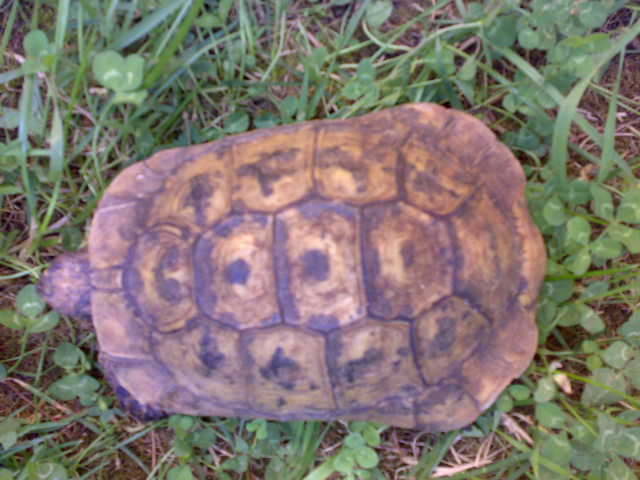 02072010732.jpg