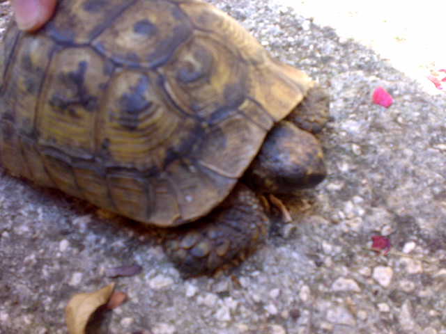 02072010736.jpg