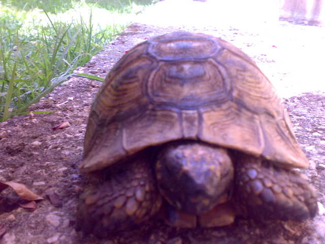 02072010737.jpg