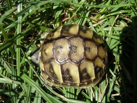 DSCN1889 (480 x 360).jpg