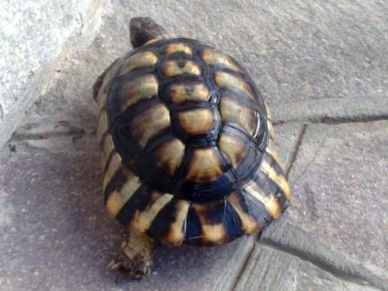 29072010005.jpg