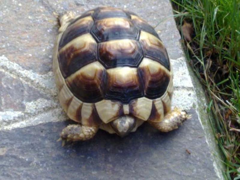 29072010018.jpg