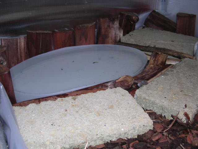 DSCN2005.JPG