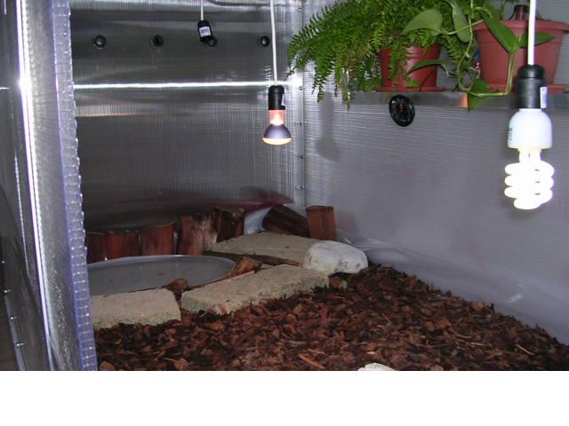 DSCN2006.JPG