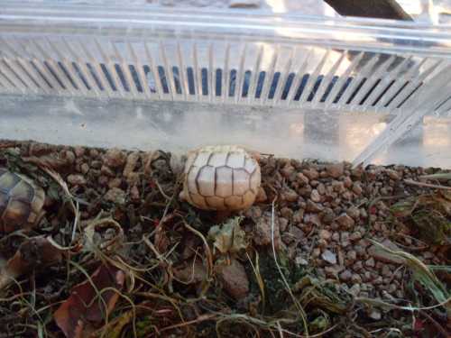 margi chiara (2).JPG