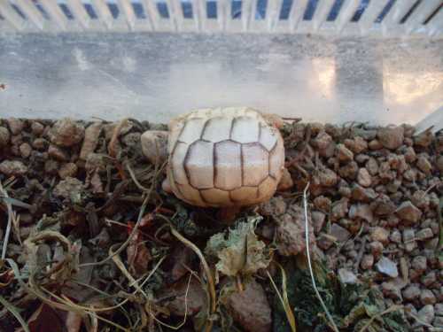 margi chiara (3).JPG