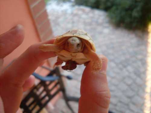 margi chiara (5).JPG