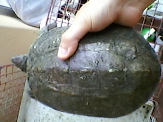 SP_A0024.jpg