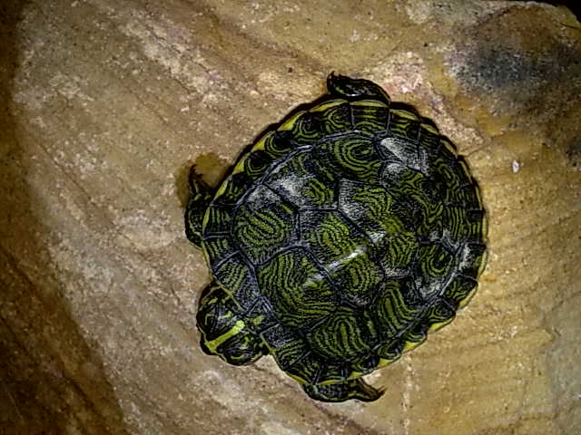 20092010310.jpg