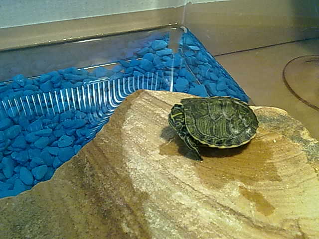 20092010314.jpg