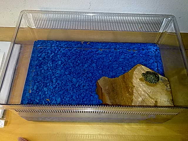 20092010315.jpg