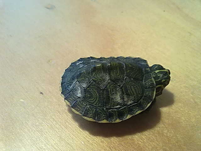 20092010317.jpg