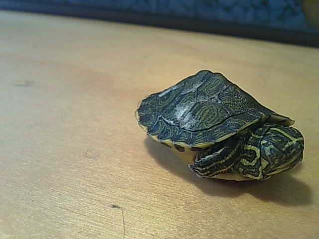 20092010319.jpg