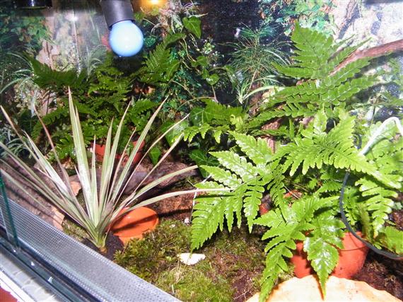 DSCF1493 (Custom).JPG
