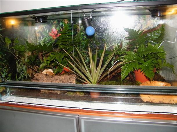 DSCF1497 (Custom).JPG