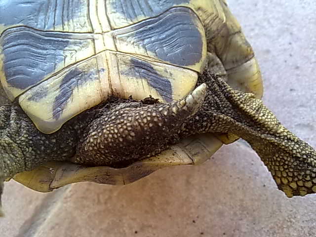 05102010684.jpg