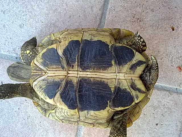 05102010681.jpg