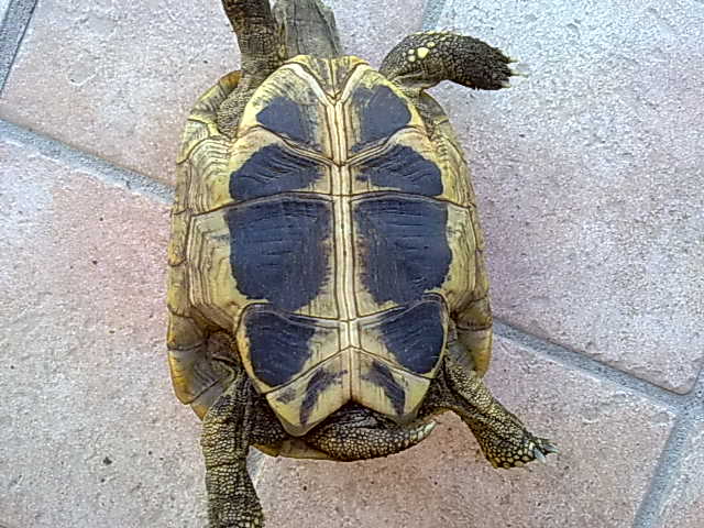 05102010683.jpg