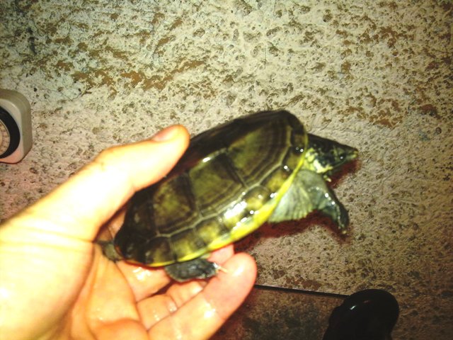17102010040.jpg