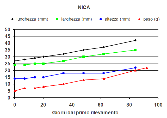 Nica.PNG