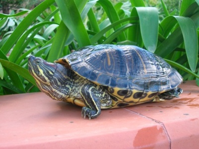 DSCN3489.JPG