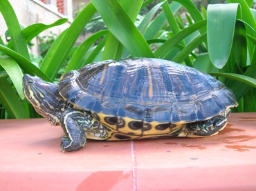 DSCN3490.JPG