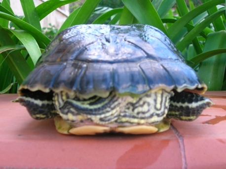 DSCN3491.JPG