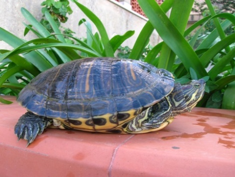 DSCN3493.JPG