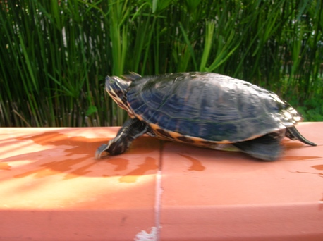 DSCN3500.JPG
