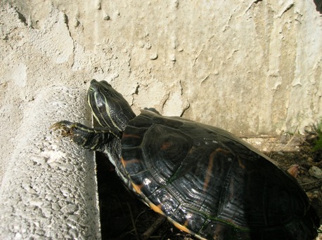 DSCN3501.JPG