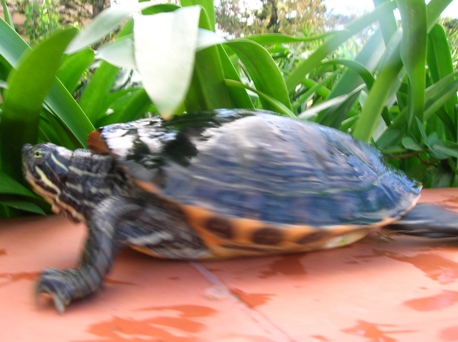 DSCN3503.JPG