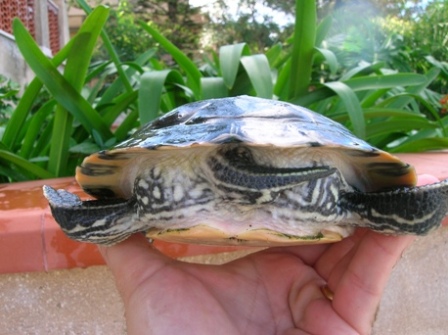 DSCN3505.JPG