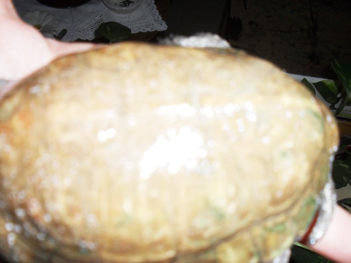 tarta4.jpg