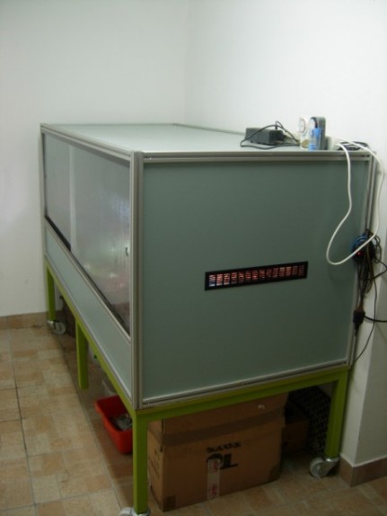 terrario cherry 003.jpg