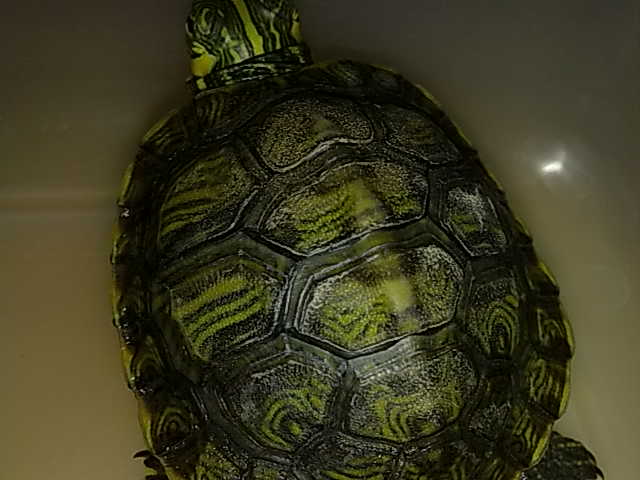 26112010390.jpg