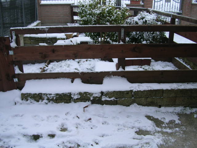 DSCN2024.JPG