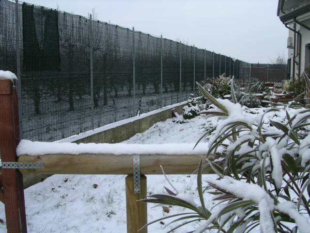 DSCN2026.JPG