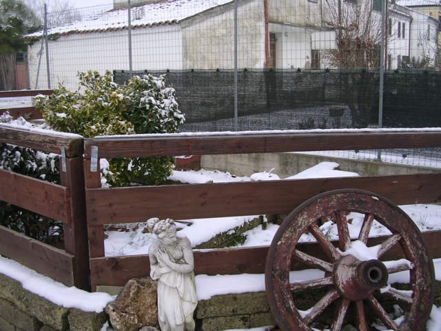DSCN2029 (640 x 480).jpg