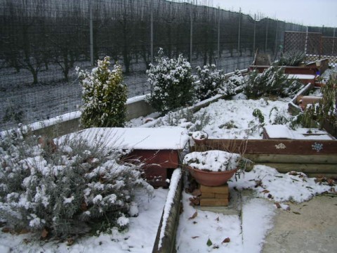 DSCN2031 (480 x 360).jpg