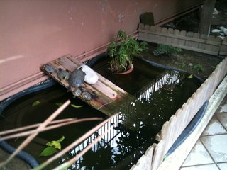 img0441uh.jpg