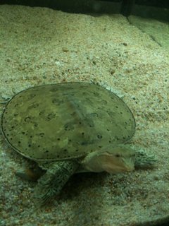 img0568zu.jpg