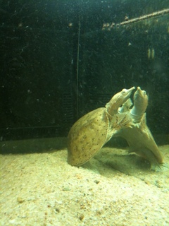 img0570bo.jpg