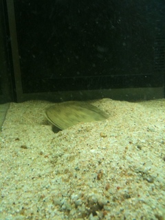 img0572u.jpg