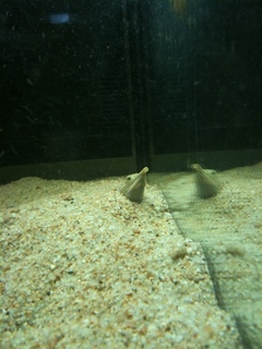 img0573f.jpg
